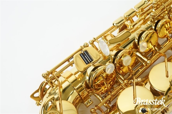 Alto Saxophone Signature 