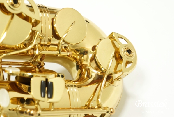 Tenor Saxophone Standard GL