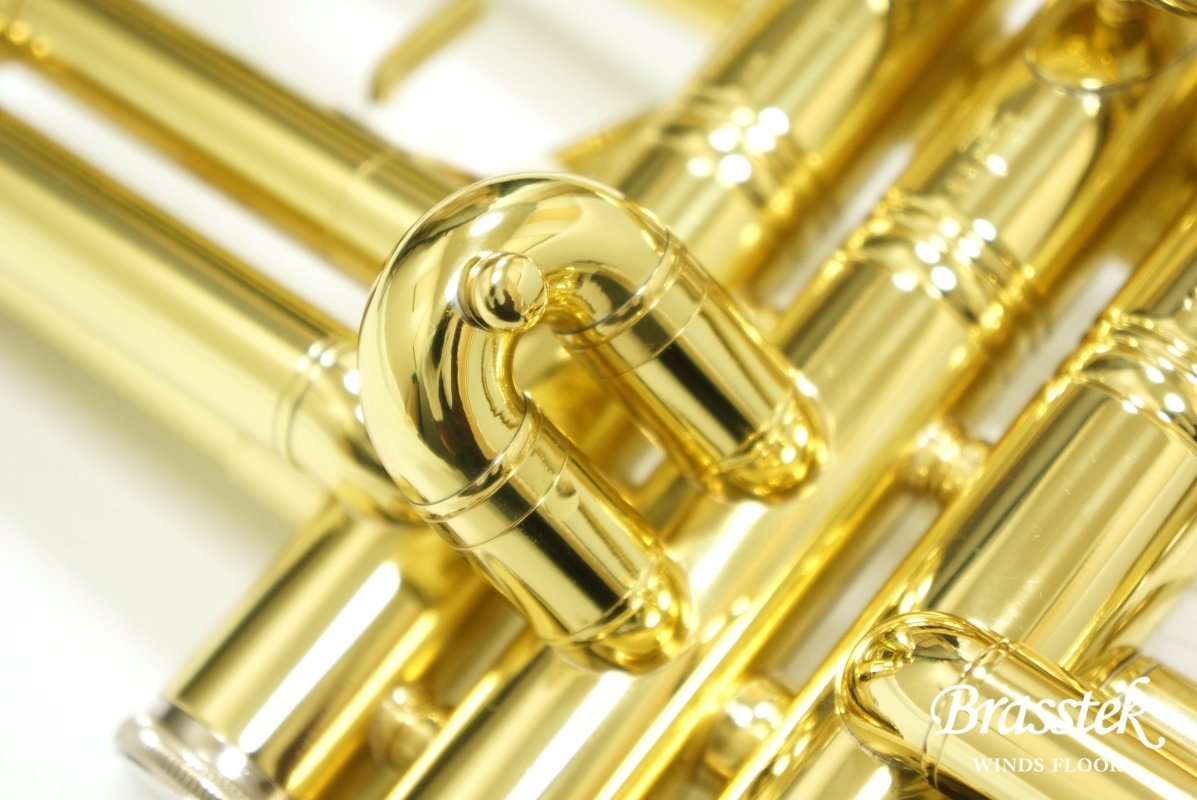 B♭Trumpet TR600 GL