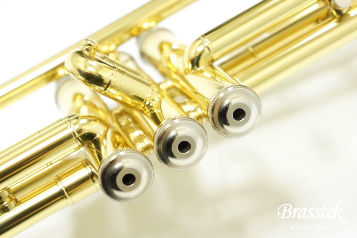 B♭Trumpet TR600 GL