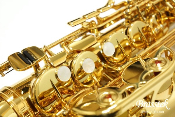 Alto Saxophone YAS-875EX
