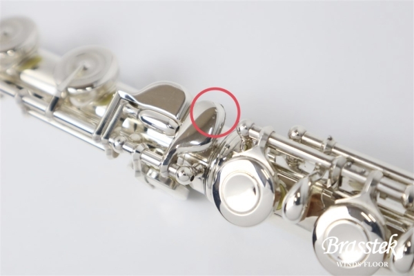 Flute EX-CC 