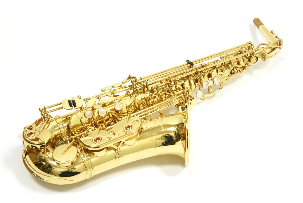 Alto Saxophone A-900μ