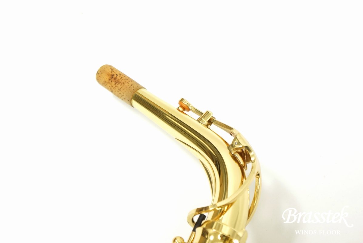 Alto Saxophone A-900μ