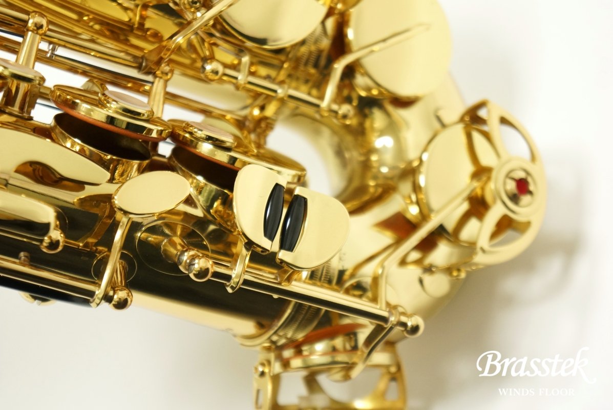 Alto Saxophone A-900μ