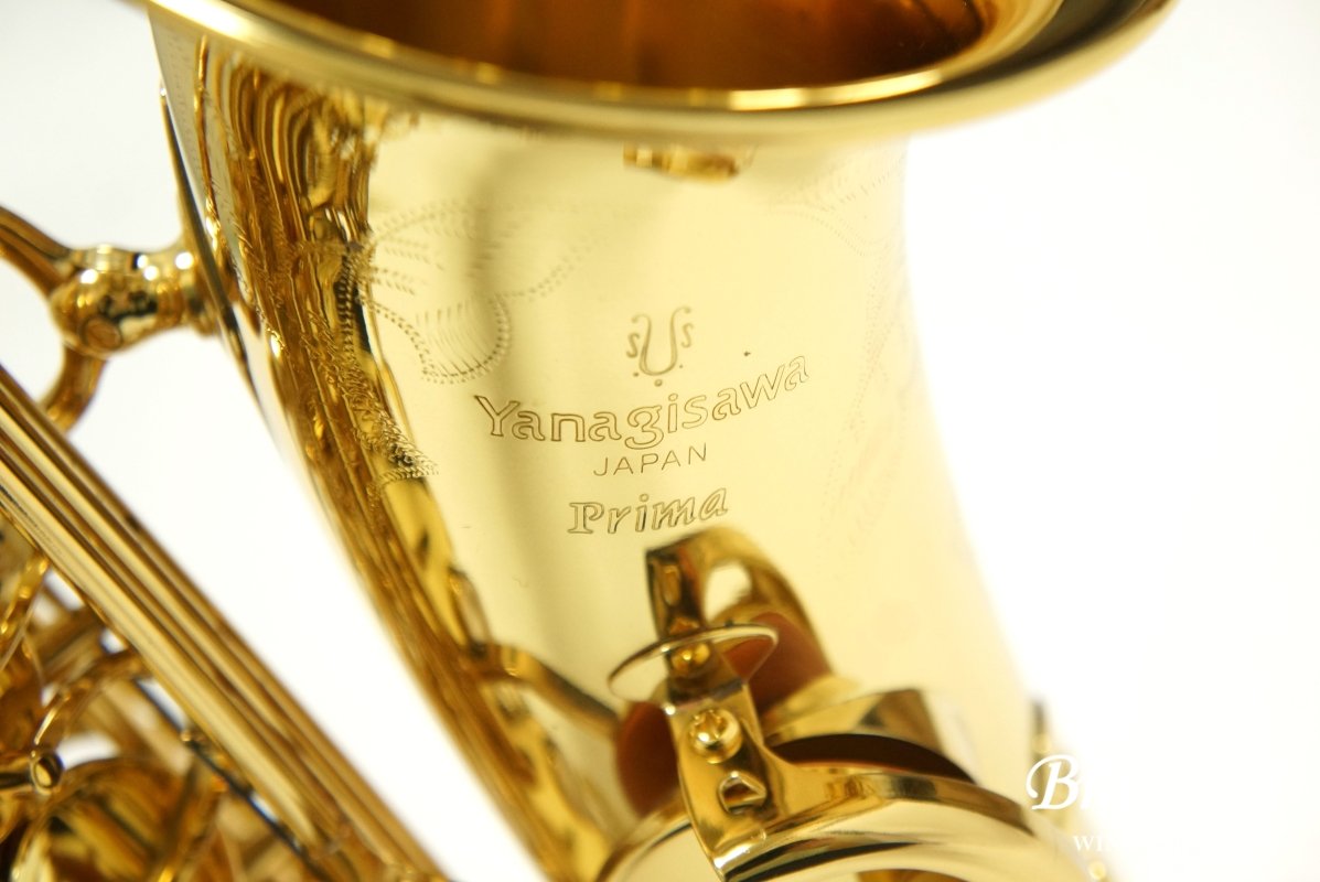 Alto Saxophone A-900μ