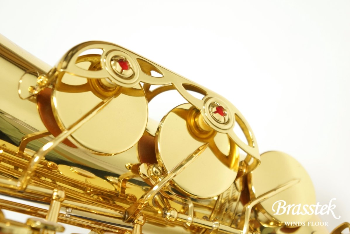Alto Saxophone A-900μ