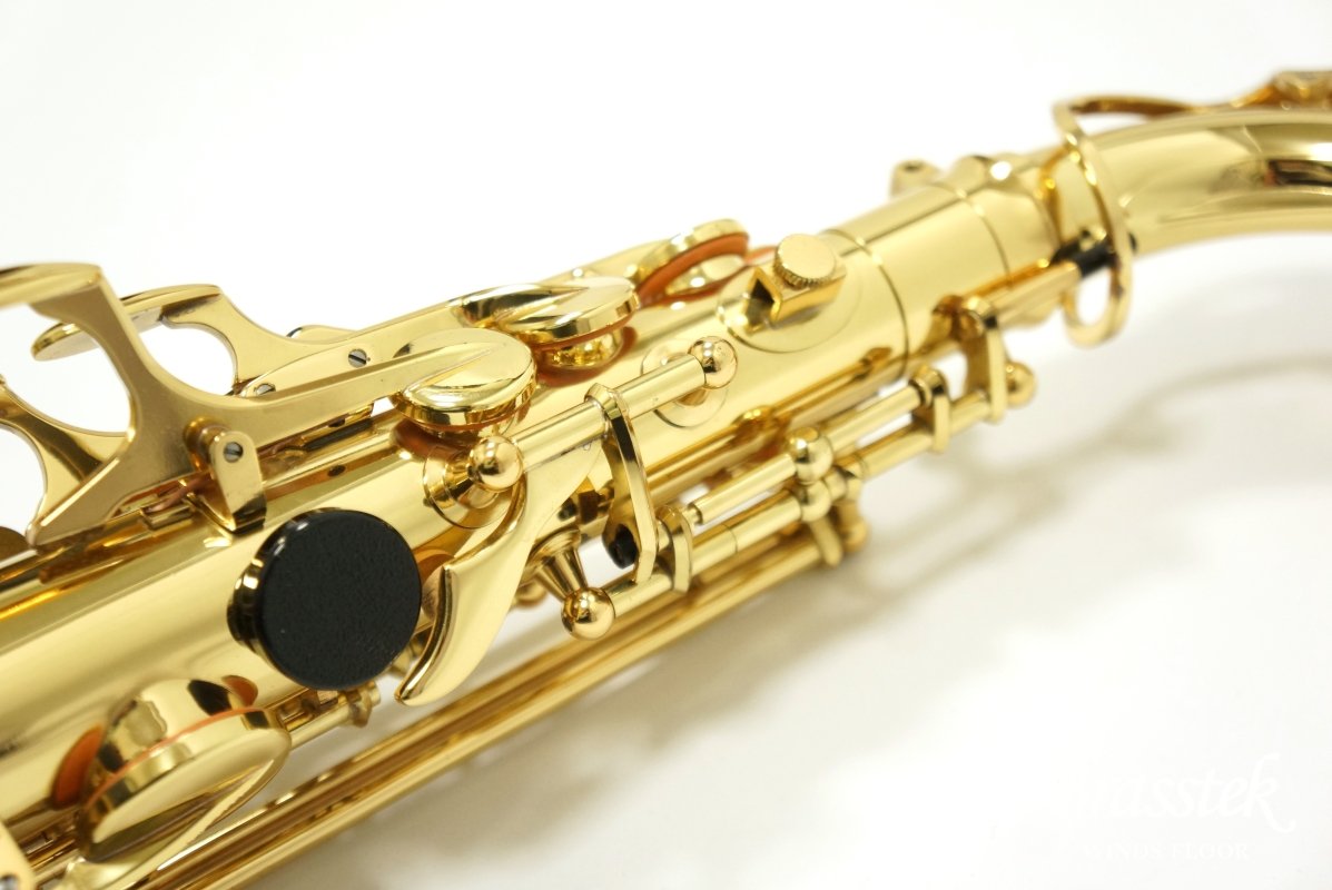 Alto Saxophone A-900μ