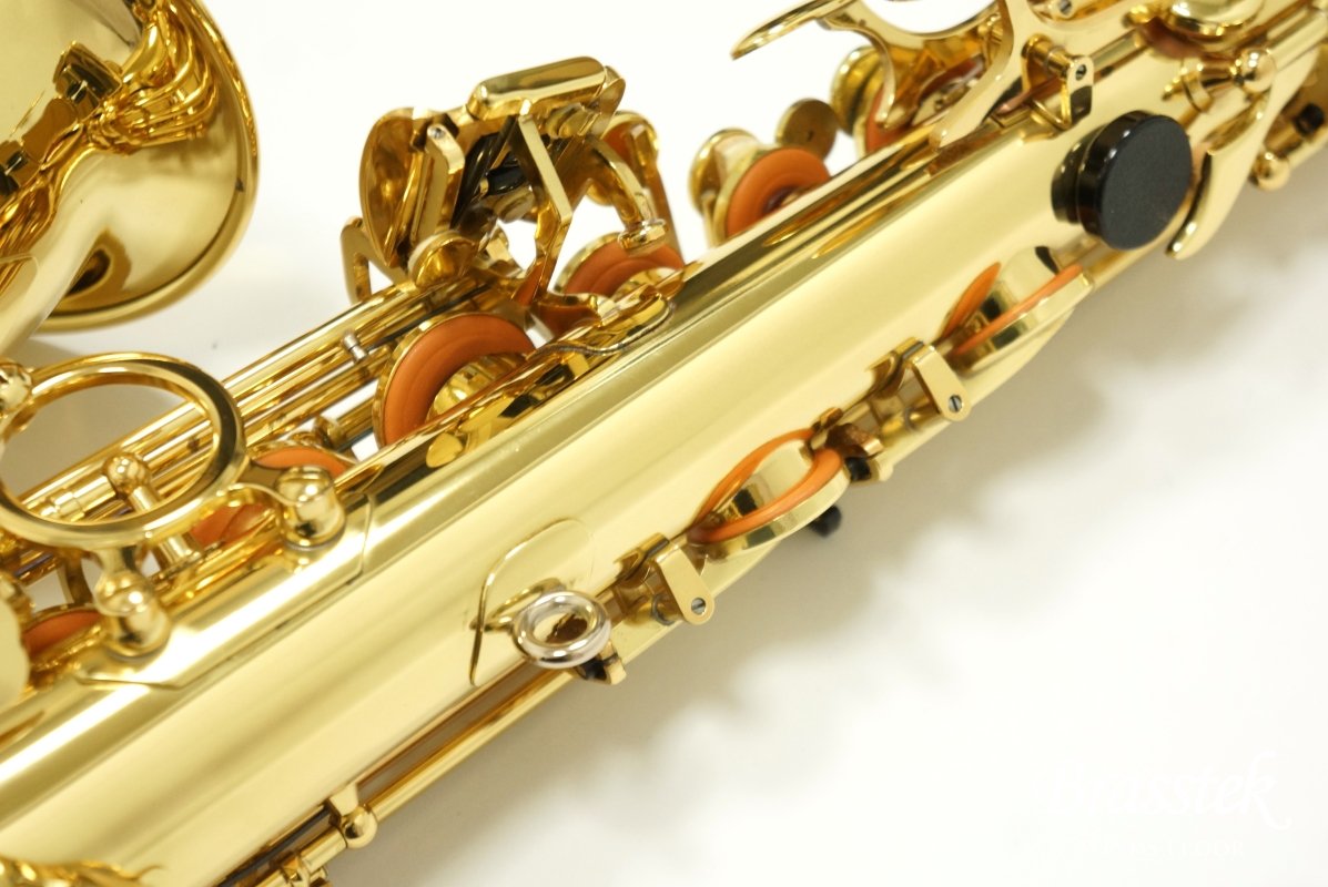 Alto Saxophone A-900μ
