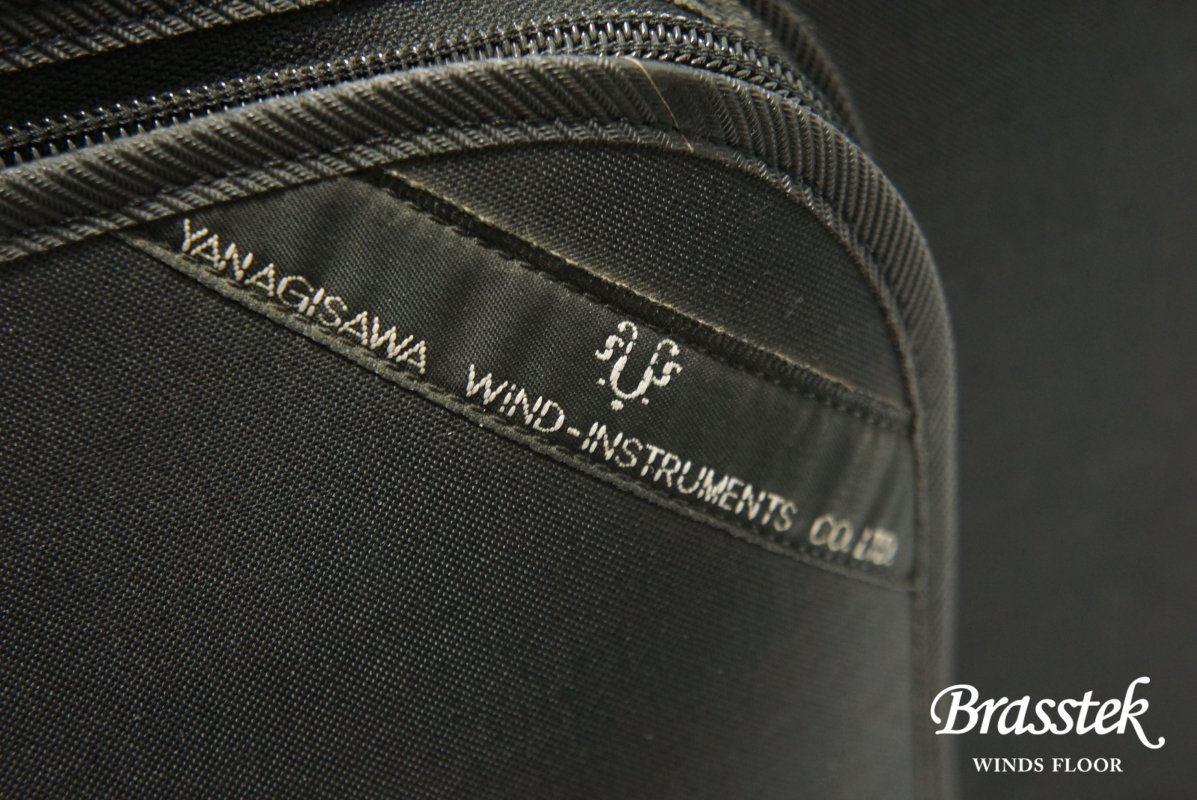 Alto Saxophone A-900μ