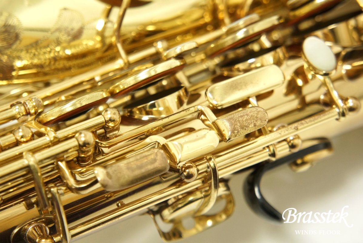 Alto Saxophone SA80 (SERIE l) W/E 