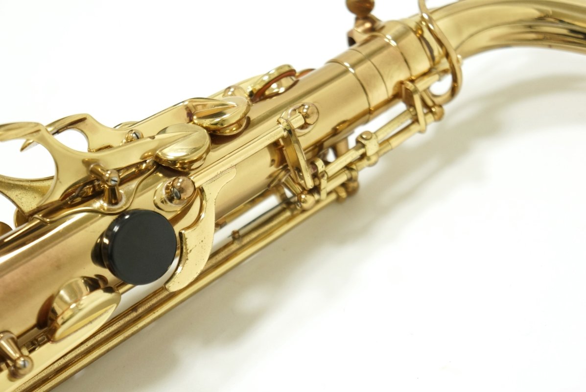 Alto Saxophone SA80 (SERIE l) W/E 