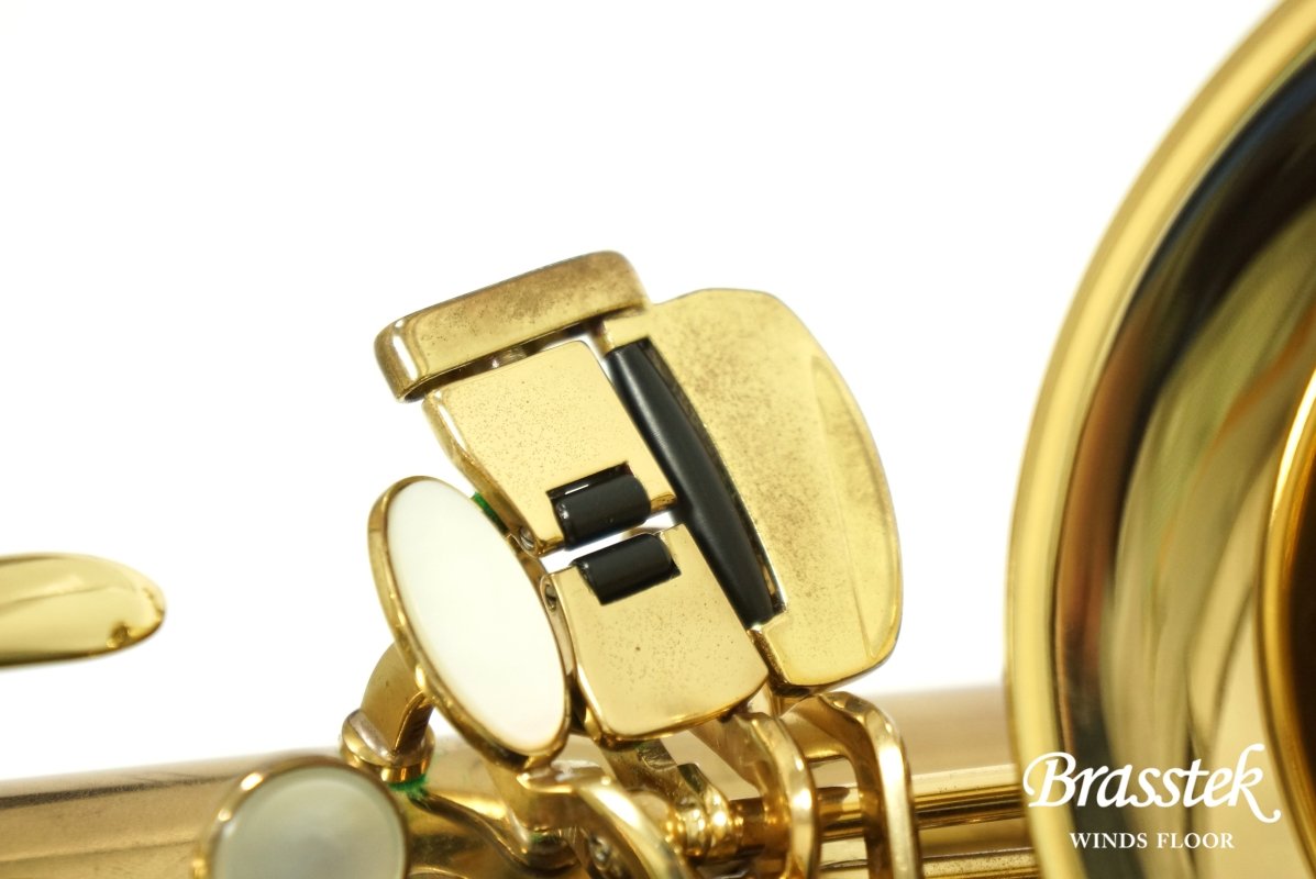 Alto Saxophone SA80 (SERIE l) W/E 