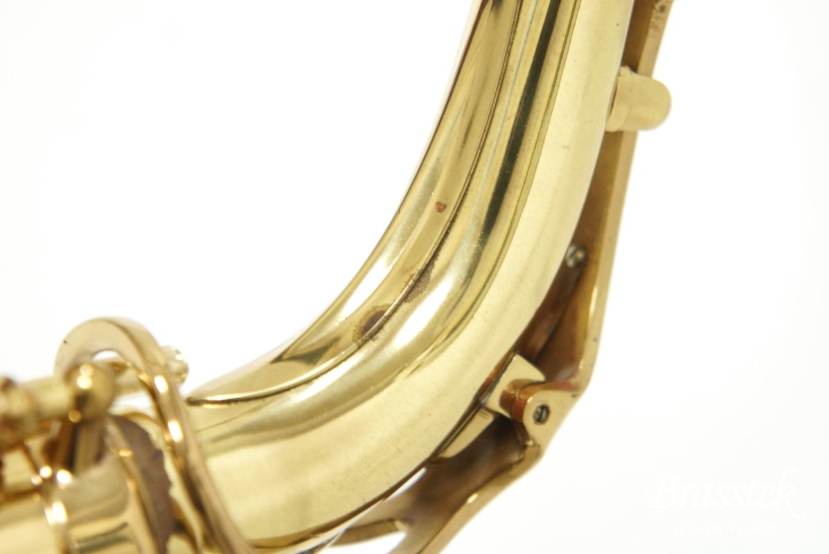 Alto Saxophone SA80 (SERIE l) W/E 