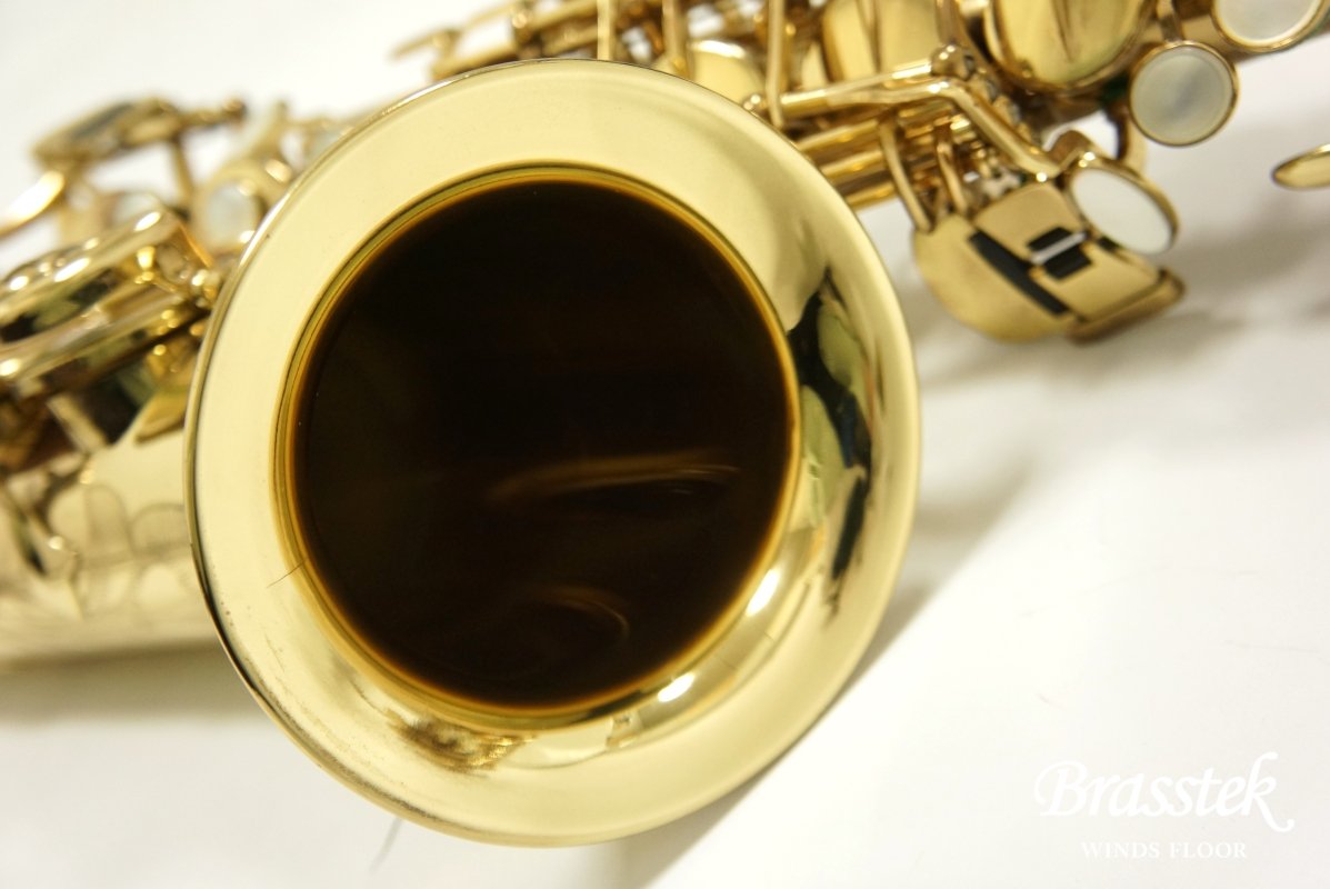 Alto Saxophone SA80 (SERIE l) W/E 
