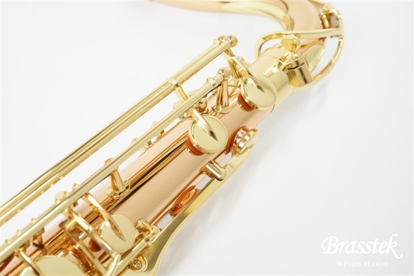 Tenor Saxophone T-WO2【即納可能】