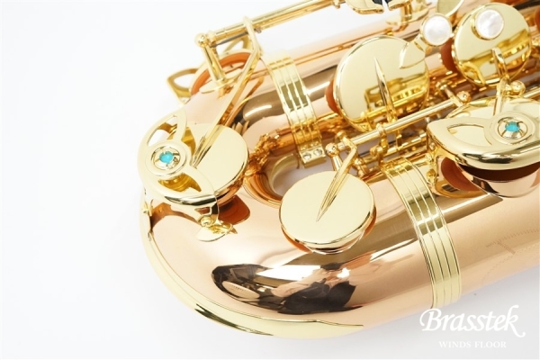 Tenor Saxophone T-WO2【即納可能】