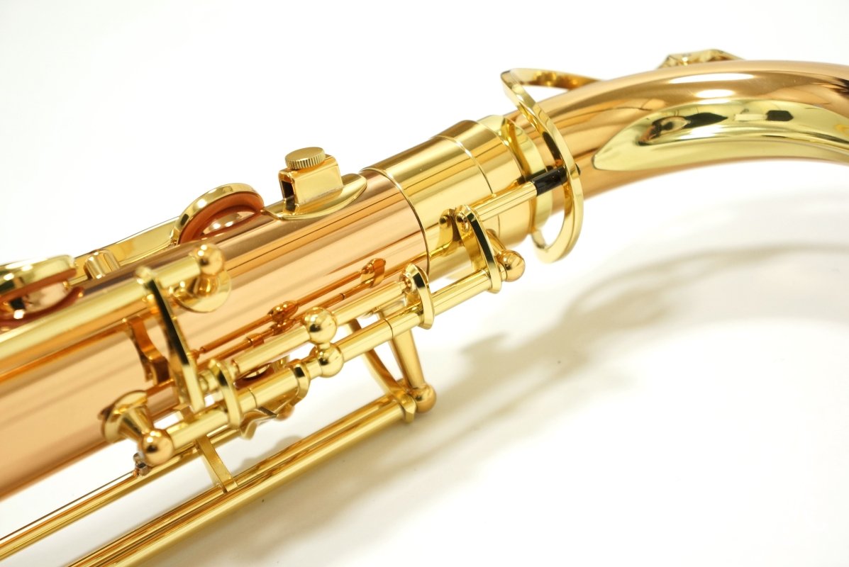 Tenor Saxophone  T-WO2