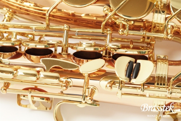 Alto Saxophone A-WO2【即納可能】