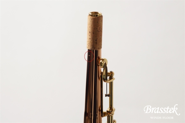 Soprano Saxophone S-WO2【お取り寄せ商品】