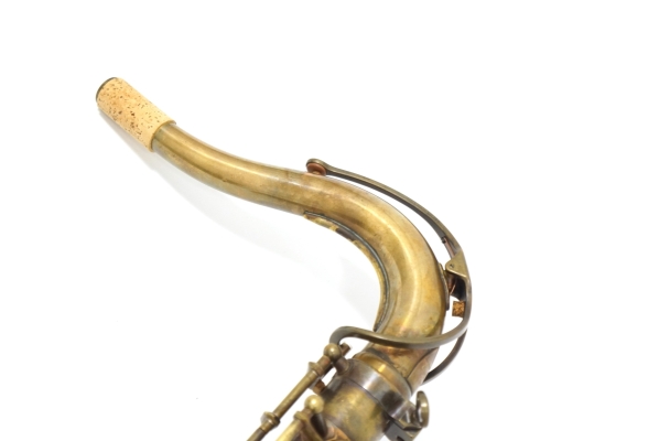 Tenor Saxophone Sepia VI