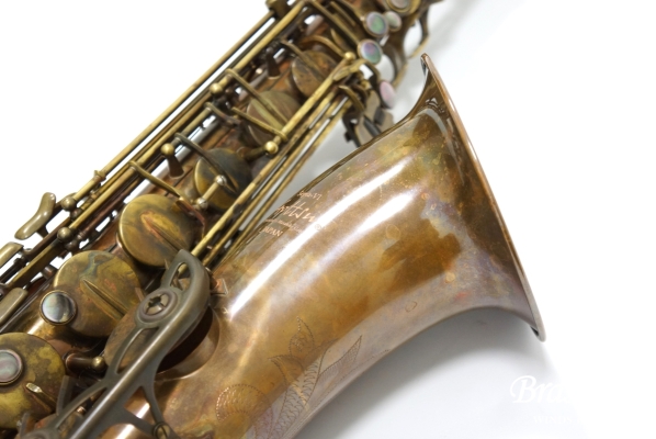 Tenor Saxophone Sepia VI