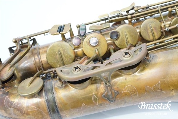 Tenor Saxophone Sepia VI