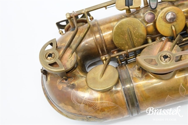 Tenor Saxophone Sepia VI