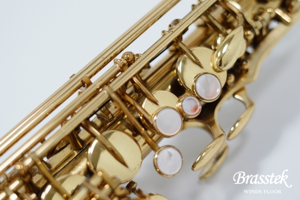 Alto Saxophone A-880 ELIMONA 