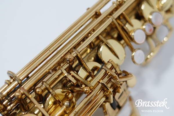 Alto Saxophone A-880 ELIMONA 