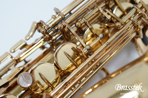 Alto Saxophone A-880 ELIMONA 