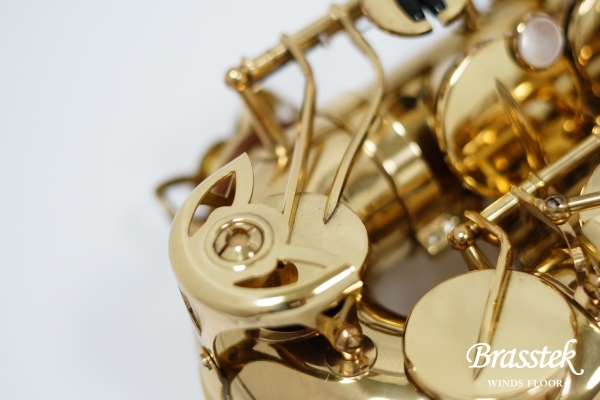 Alto Saxophone A-880 ELIMONA 