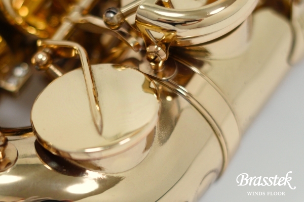 Alto Saxophone A-880 ELIMONA 