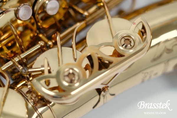 Alto Saxophone A-880 ELIMONA 