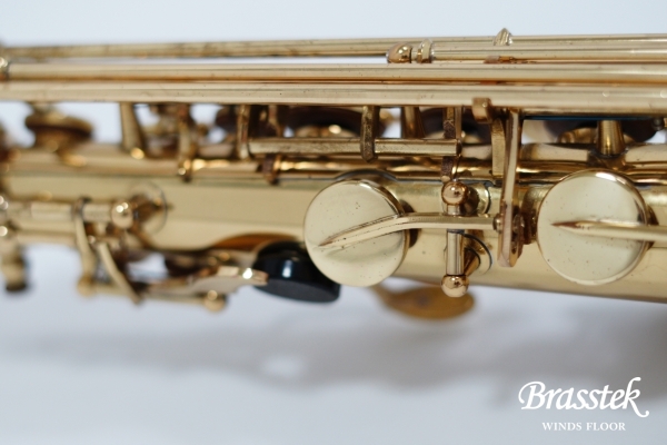 Alto Saxophone A-880 ELIMONA 