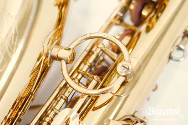 Alto Saxophone A-880 ELIMONA 
