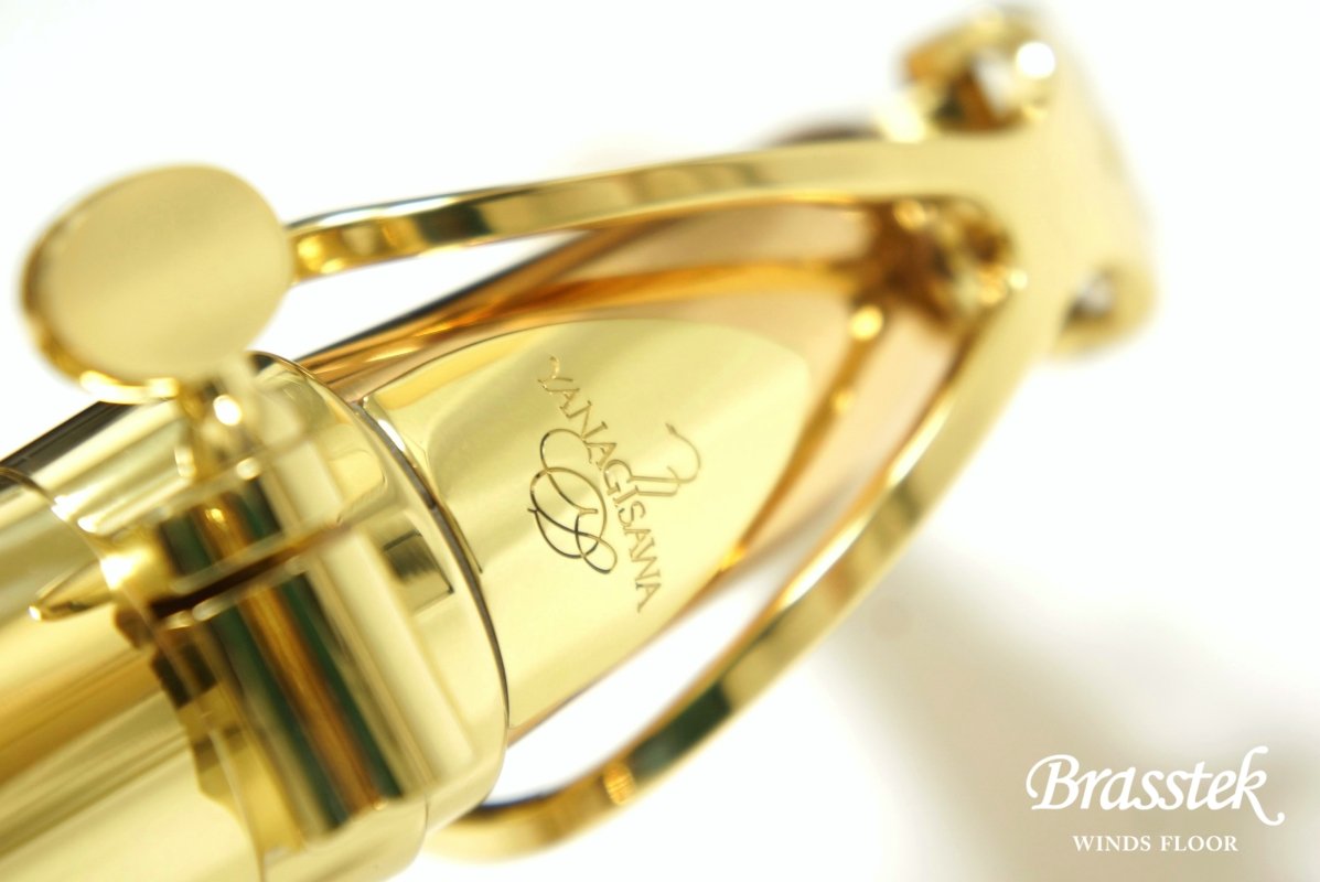 Alto Saxophone  A-WO2