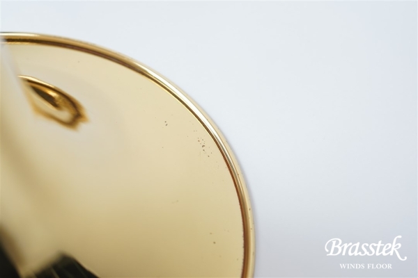 Tenor Bass Trombone T350-E