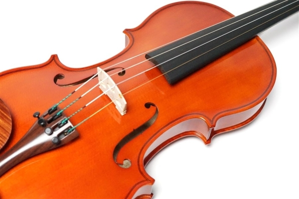 No.20 Violin / ヴァイオリン