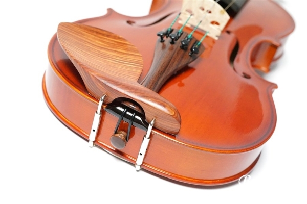 No.20 Violin / ヴァイオリン
