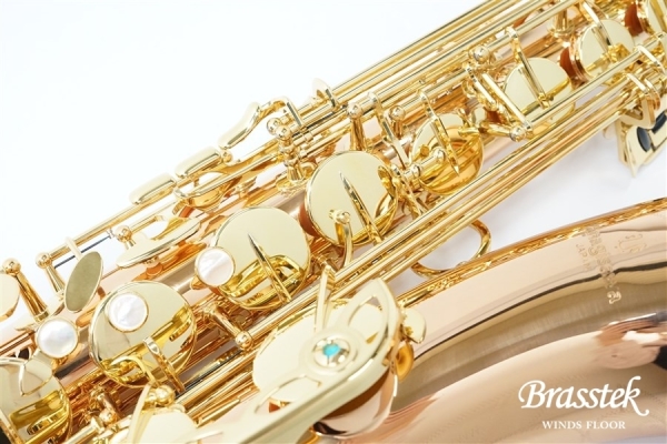 Tenor Saxophone T-WO2 [即納可能]