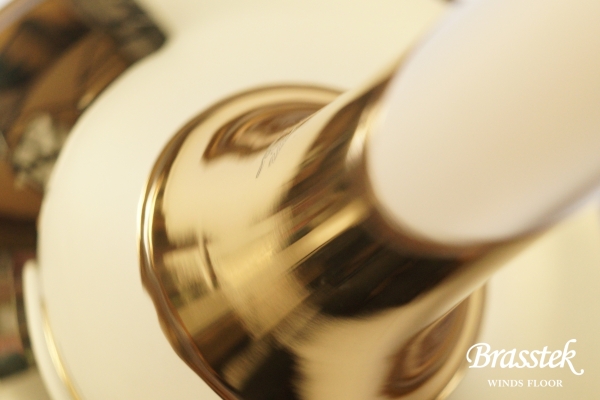 Tenor Trombone YSL-895EN