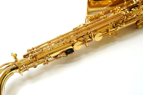 Alto Saxophone YAS-280