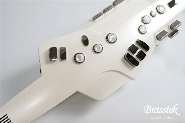 Aerophone AE-10