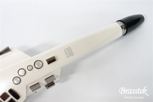 Aerophone AE-10