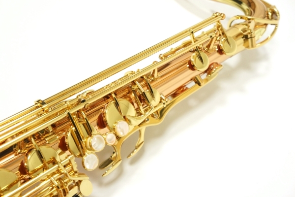 Tenor Saxophone T-WO2