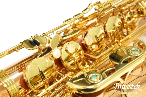 Tenor Saxophone T-WO2