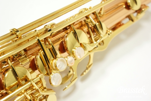 Tenor Saxophone T-WO2