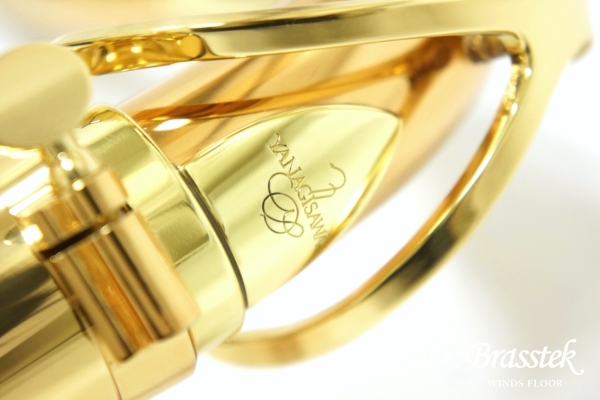 Tenor Saxophone T-WO2