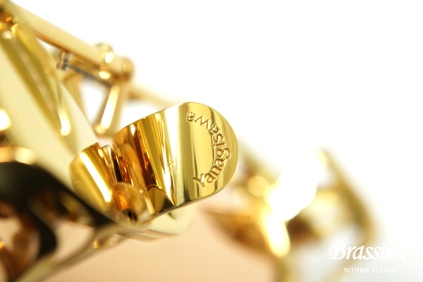 Tenor Saxophone T-WO2